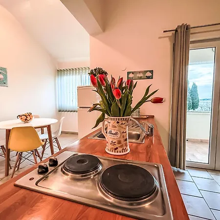 Tatjana-2 By Interhome * Zaton (Zadar)